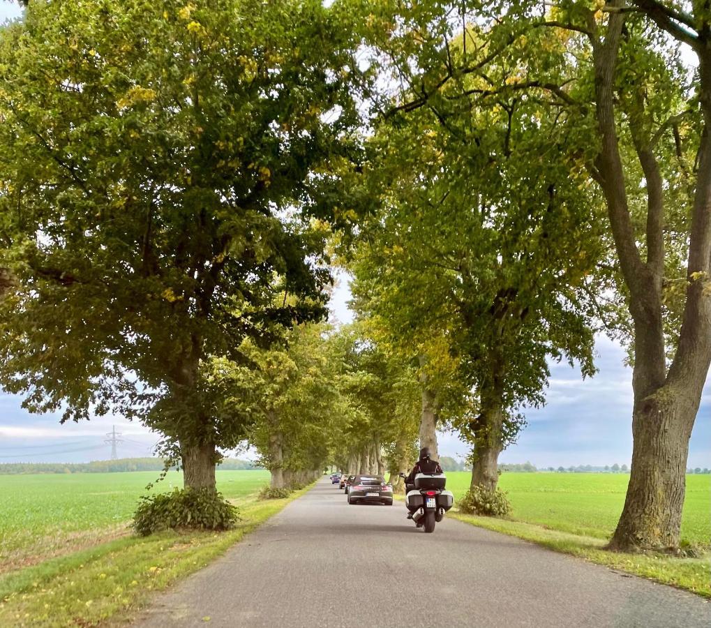 Ferienwohnung Kranichnest Neubrandenburg Eksteriør bilde