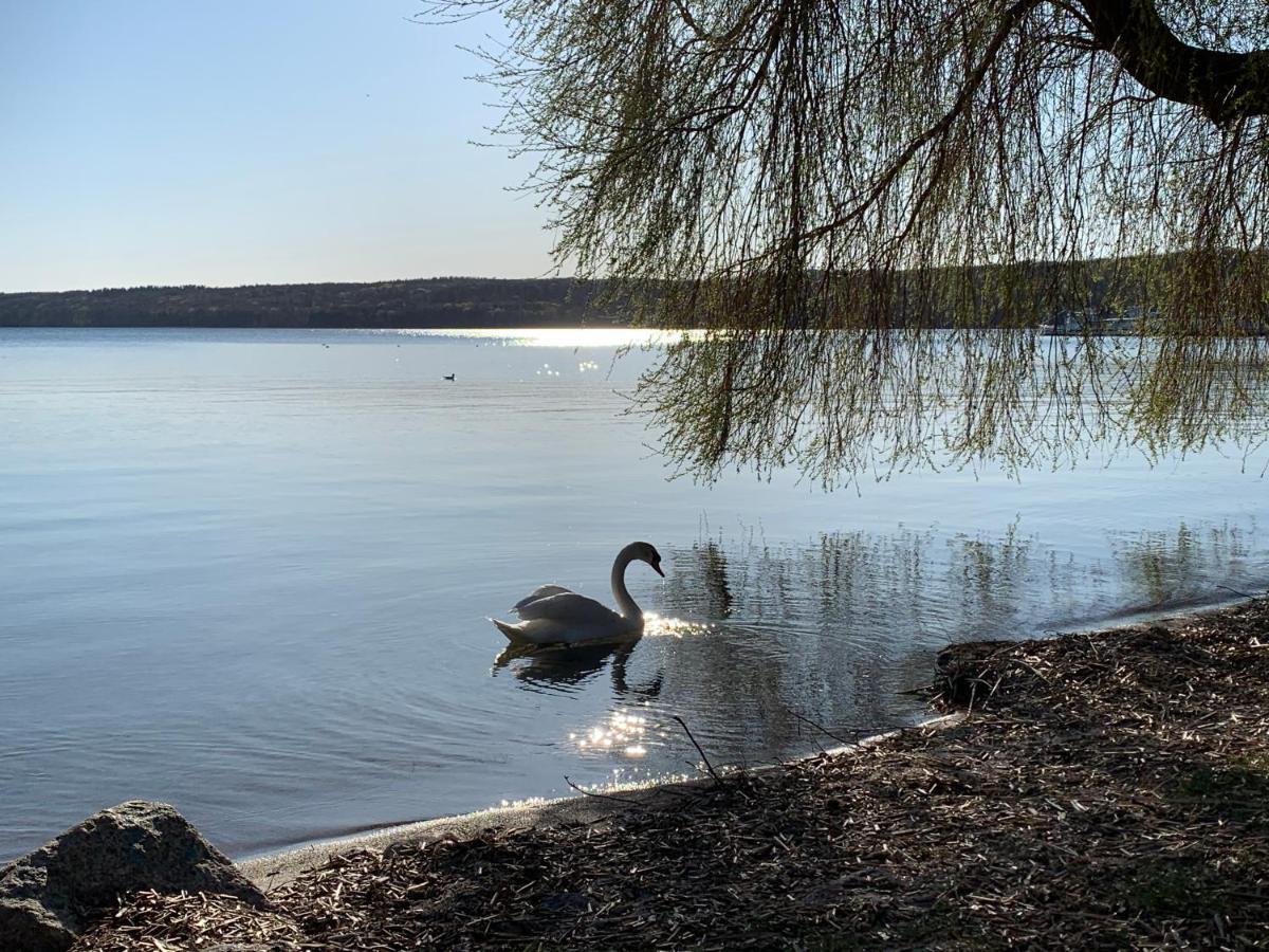 Ferienwohnung Kranichnest Neubrandenburg Eksteriør bilde